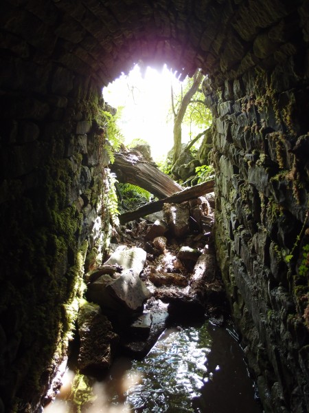 P8311099.JPG - Looking out of the adit.