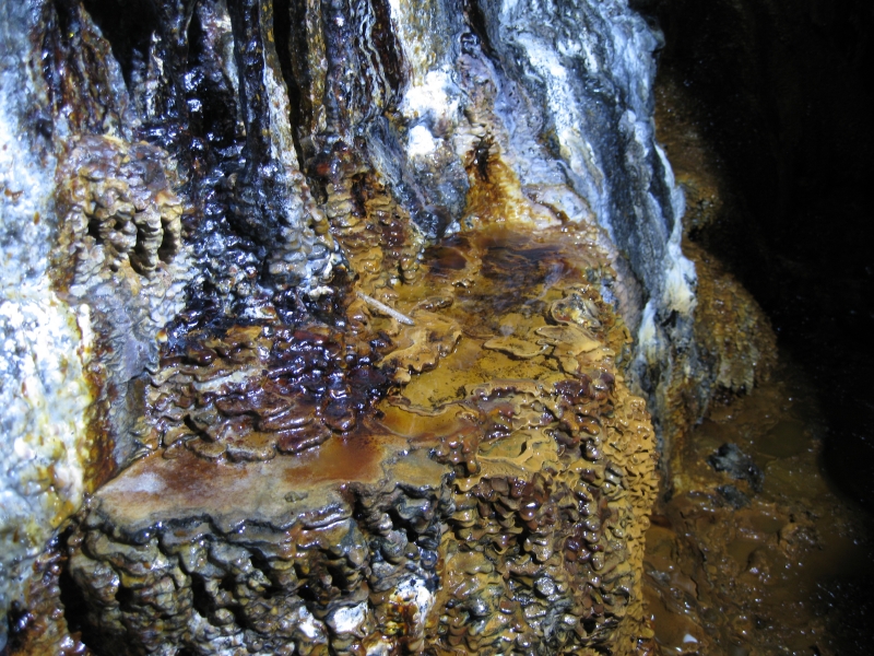 IMG_3020.jpg - Calcite formation in the level.