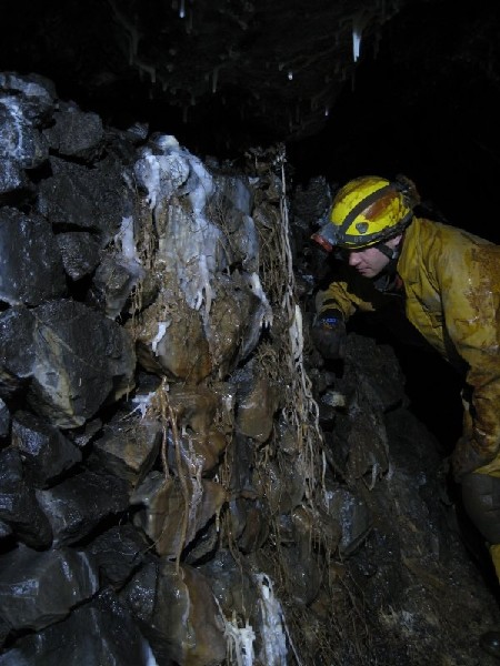 IMG_3034.jpg - Calcified boot lace fungus on the pack wall.