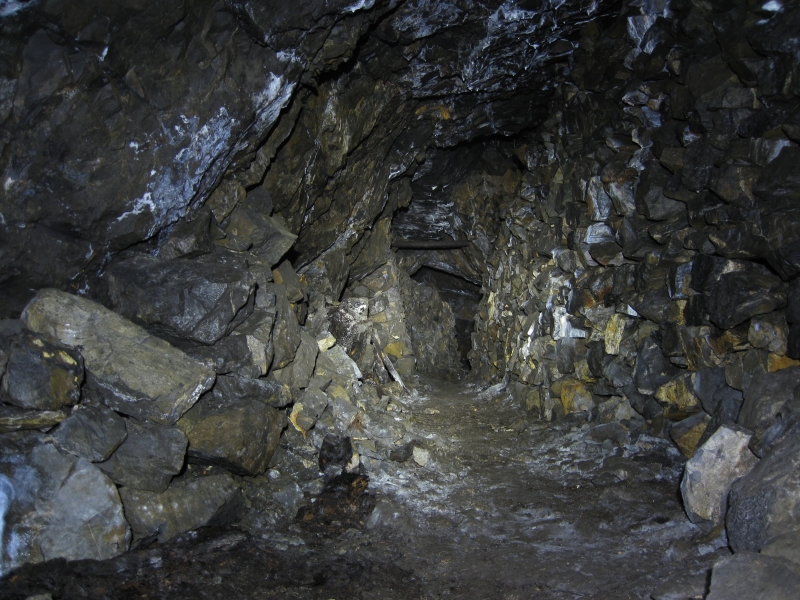 IMG_3065.jpg - Level in the warren, middle horizon.