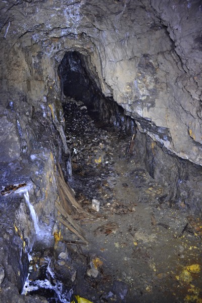 DSC_0155.JPG - View westwards from the landing point. Photo by Karli.