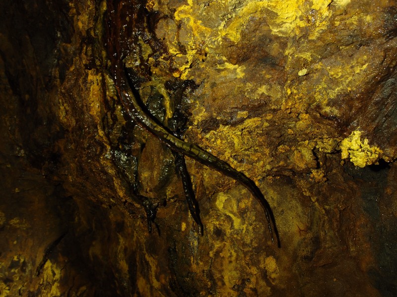 P7060834.JPG - Curved formations.