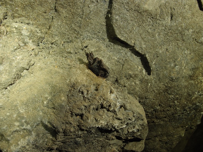 P7060871.JPG - Tallow candle stub.