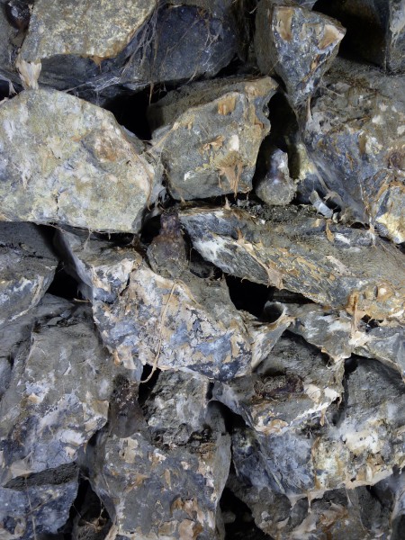 P1030652.JPG - Dry rot growing on the deads with multiple candle stubs in clay balls amongst them. Photo by Sal.