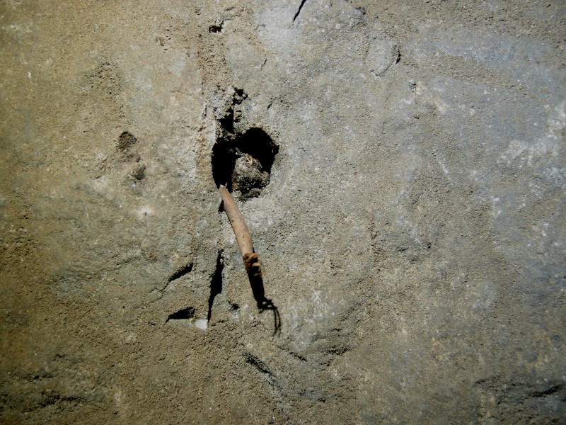 P2117990.JPG - One of the shot holes had this fuse in it, but it looks to me like someone has staged this, using a candle stub as dynamite.