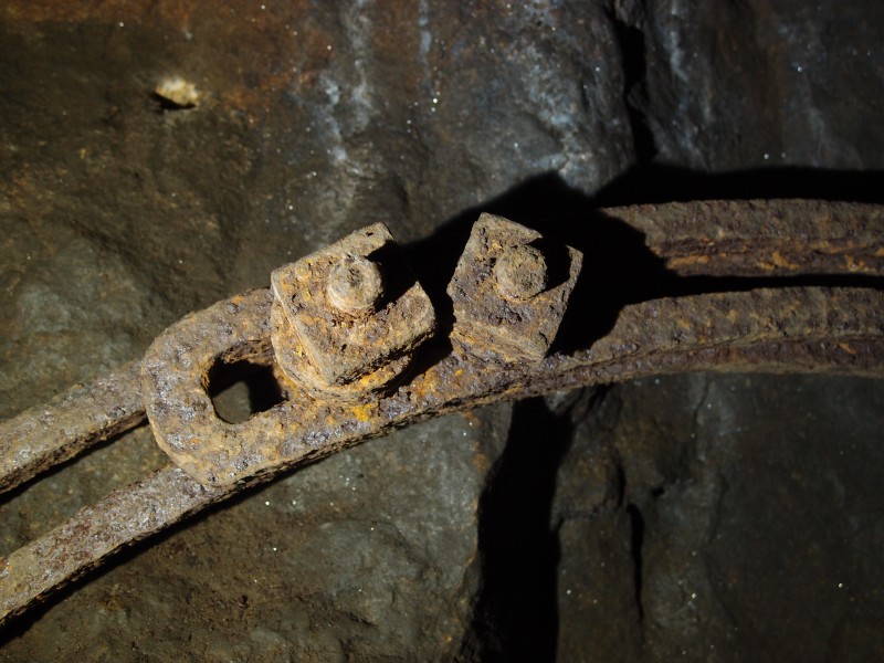 P2118010.JPG - Nuts on arch former, these have been submitted to Nuts Magazine for Nuts of the Month.