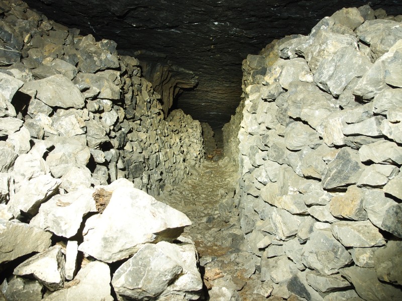 P2118017.JPG - Passage way formed from stacked deads.