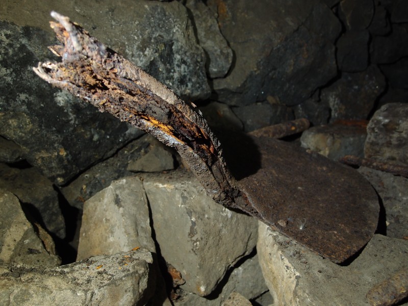 P2118028.JPG - Shovel.