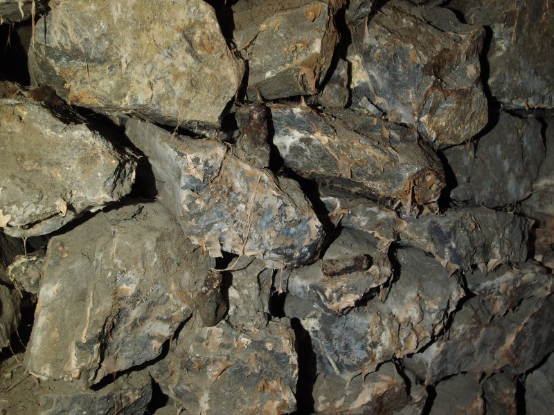 P2118054.JPG - Dry rot growing on the deads with multiple candle stubs in clay balls amongst them.