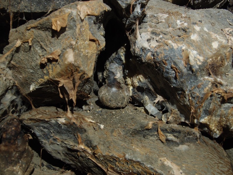 P2118056.JPG - Candle stub in clay ball on dry rot deads.