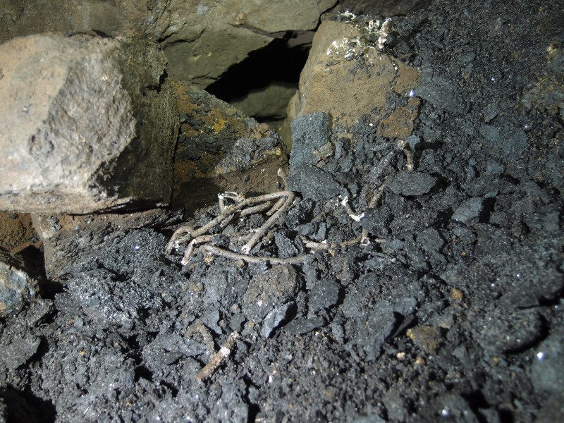 P2118082.JPG - Fuse.