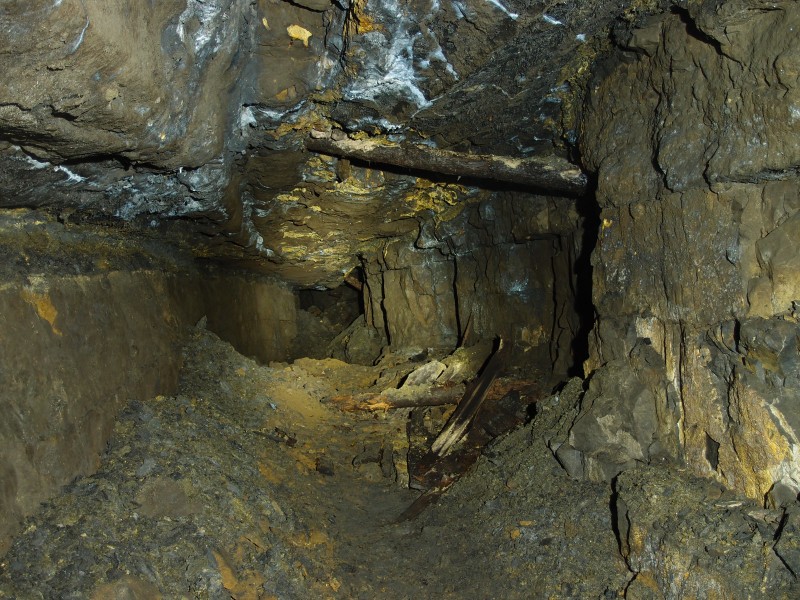 P2118085.JPG - Level at the top of the Great Limestone.