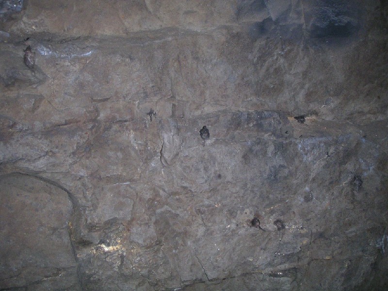 rg_psf_6candlesonwall.jpg - The wall with the six candles stuck on with clay.