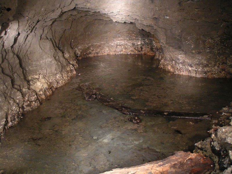 rg_psf_pool.jpg - A small chamber near the end of Proud's Flat with stagnant water.