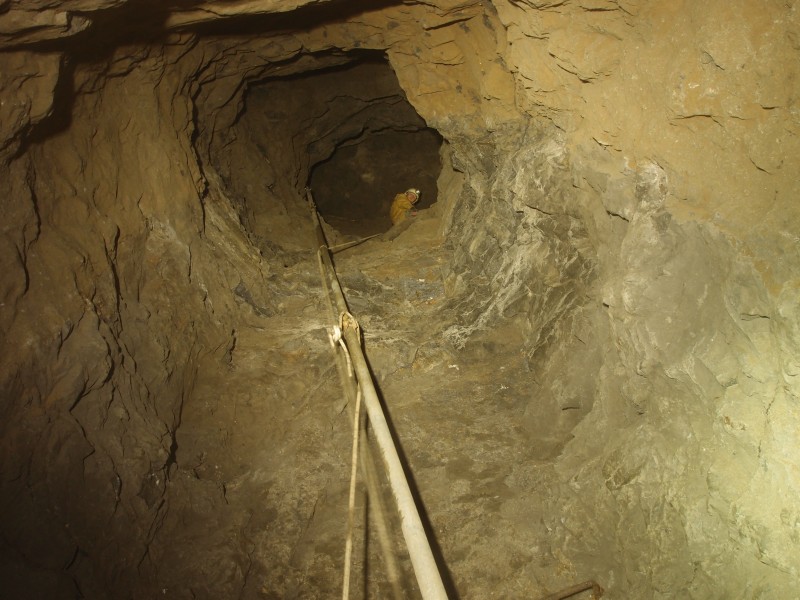 PB301805.JPG - Karli off the pole and attached to something less flexible.