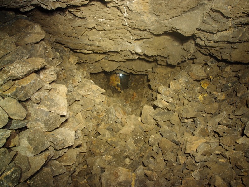 PB301813.JPG - Survey mark on one of the deads.