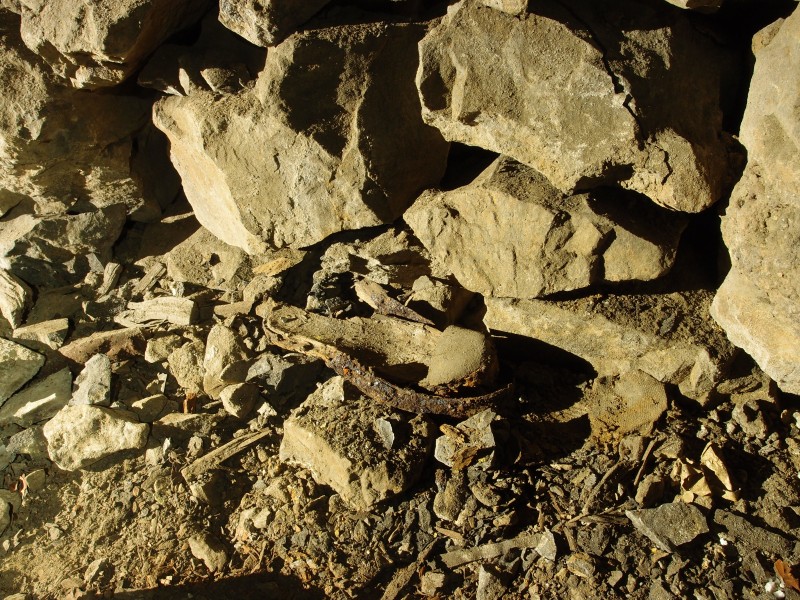 PB301828.JPG - Clog sole remains.