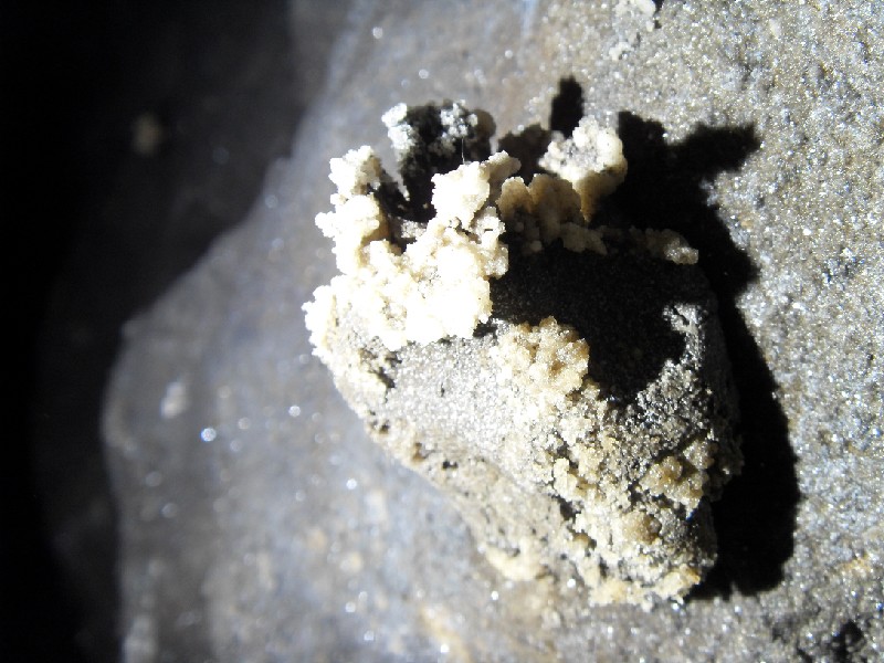 SDC10505.jpg - Close up of one of the tallow candles. The dark bit at the top is the wick, secondary mineralisation on the wax, and clay blob at the bottom.
