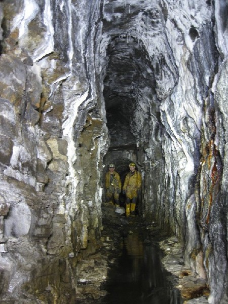 IMG_2722.jpg - Rampgill Horse Level, in the heavily calcified section.