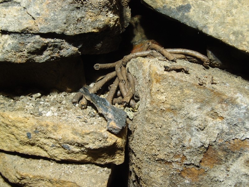 PC043120.JPG - Fuse stored away in the arching.