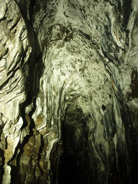 PA235386.JPG - Calcification in the roof of the horse level..