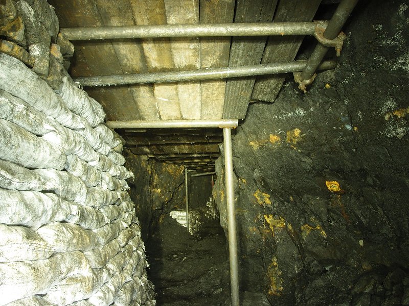 PA235392.JPG - Crosscut dig.