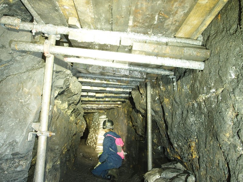 PA235393.JPG - Crosscut dig.