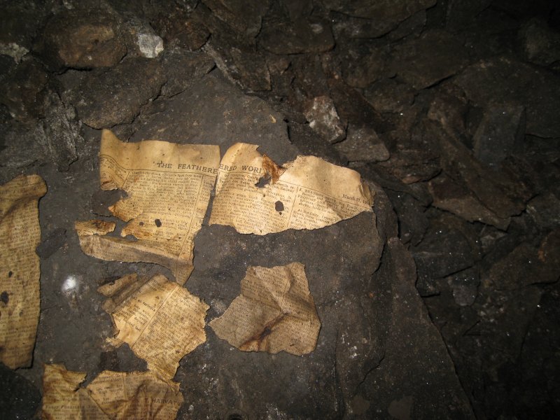 IMG_2301.jpg - Magazine in one of the side flats, "The Feathered World, March 21, 1902". "Pure bred high class buff Orpingtons, selected layers, Eggs, 5s. 6d. dozen; unfertilised replaced; chicks 12s. ; all carriage paid; inspection cordinally invited; Bazaar references."