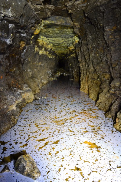 DSC_0393.JPG - Looking down the Rampgill Sun Vein Level, east of Rampgill Cross Vein. Photo by Karli.