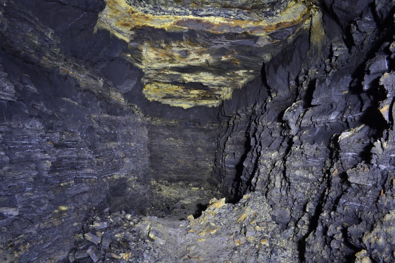 DSC_0268.JPG - Forehead of Morrah's Vein. Photo by Karli.