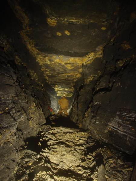 P1061483.JPG - Forehead of Morrah's Vein.