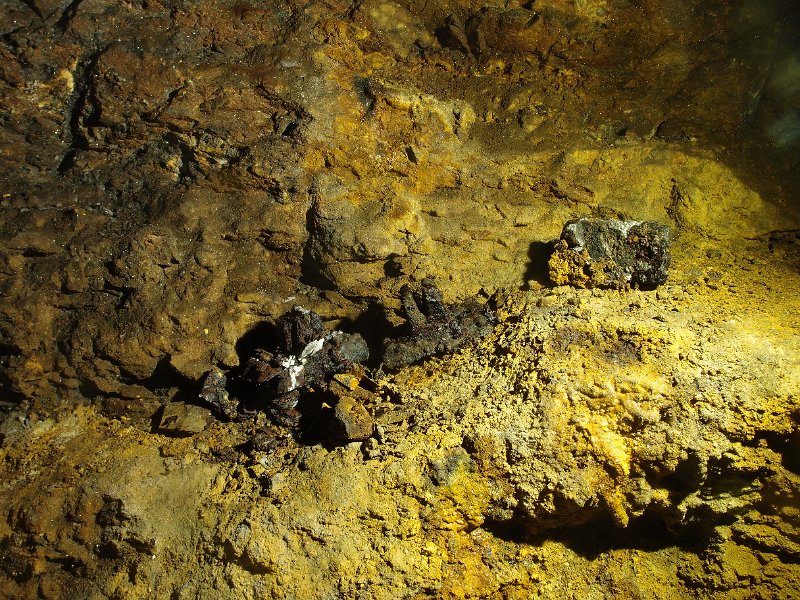 PB124688.JPG - Rail shoes in the horse level.