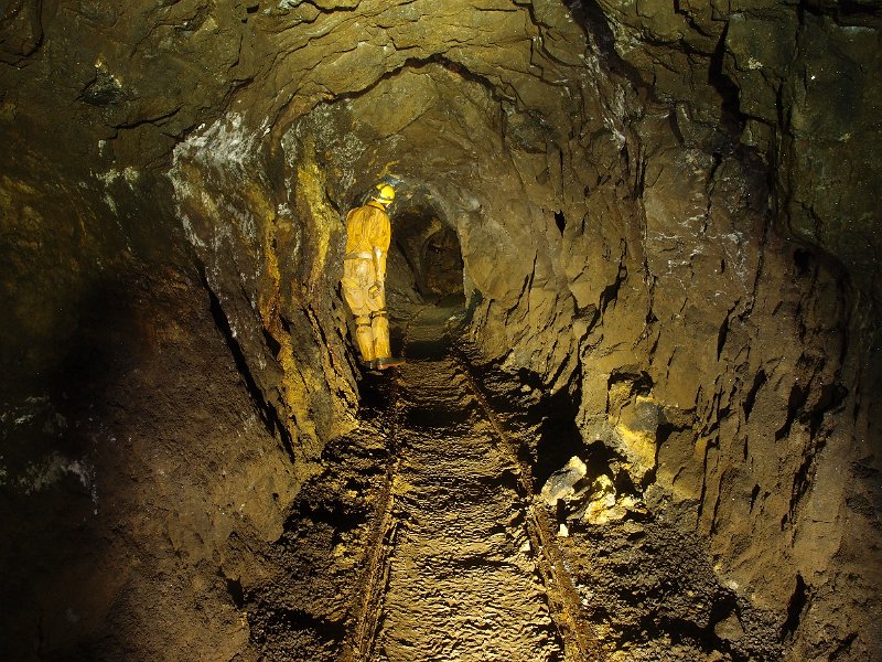 PB124702.JPG - View down the horse level.