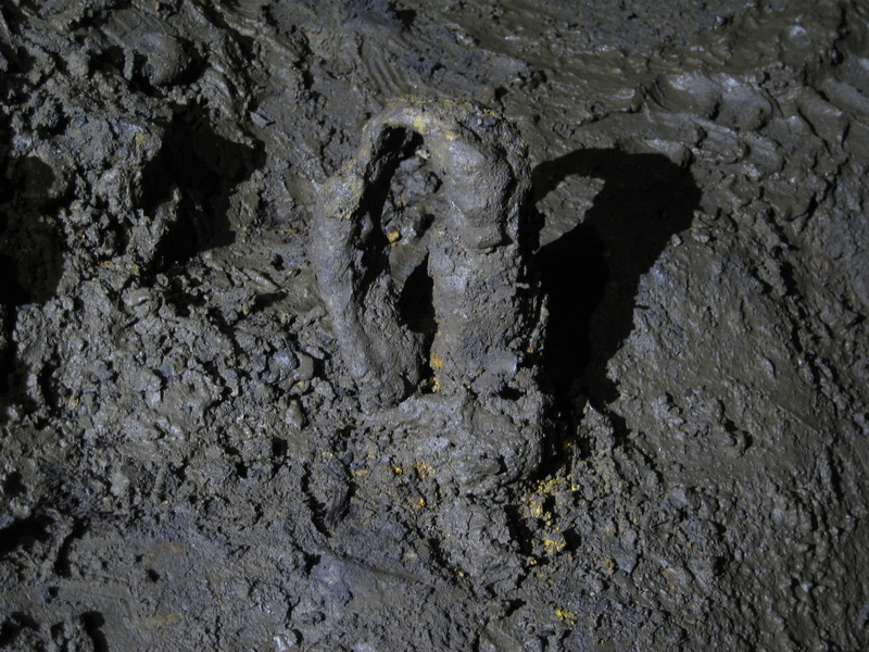 IMG_5346.JPG - Never noticed this before, but could this be a tether for the horse or the horse gin?