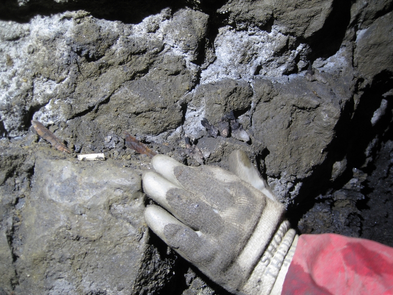 IMG_5350.JPG - Opposite the artifacts, five stubs of tallow candles can be seen. The white bit looks like a piece of pipe stem.