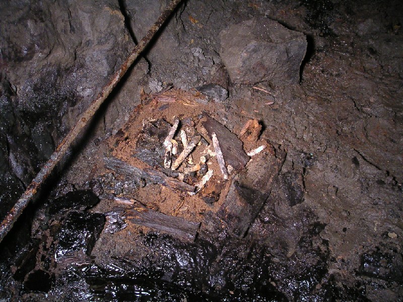 rg_candlesinrise.jpg - Up in the rise Karli found a number of artifacts, dynamite, shot hole scraper, but by far the most impressive was the wooden box of intact candles.