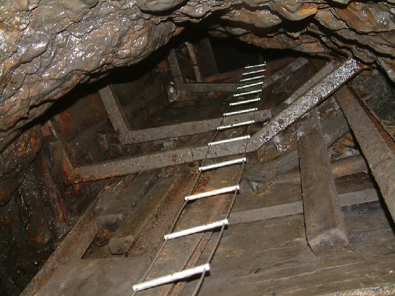 rg_laddersup_reeds_sump.jpg - Looking up Reed's Sump with our ladders hanging down.