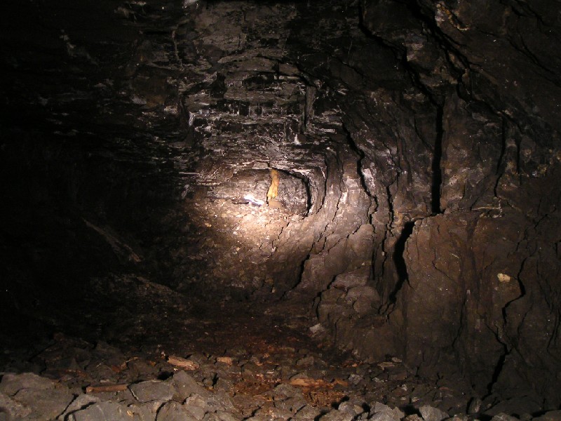 rg_sublevel3.jpg - Kari looking up into a rise in the working.