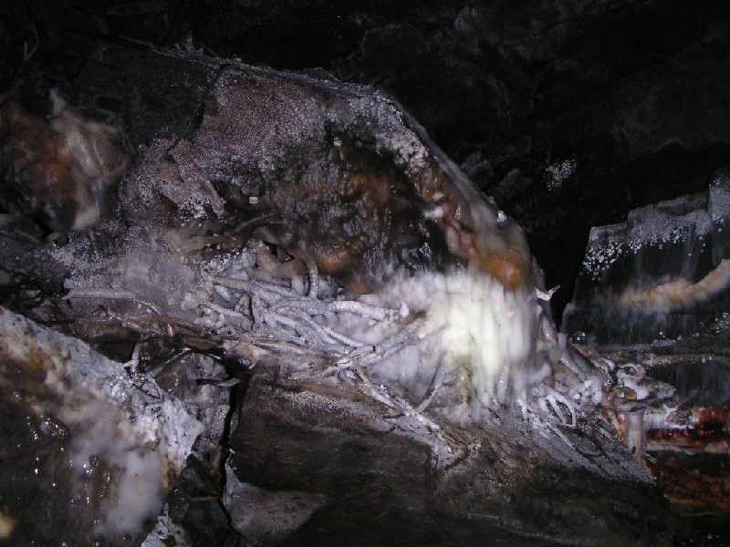 rg_subleveloftopsill_calcifiedstraw.jpg - Some calcified straw in the level near the first drop.