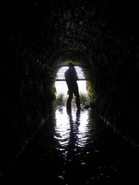 Img_6195.jpg - Out in to daylight and fresh air.