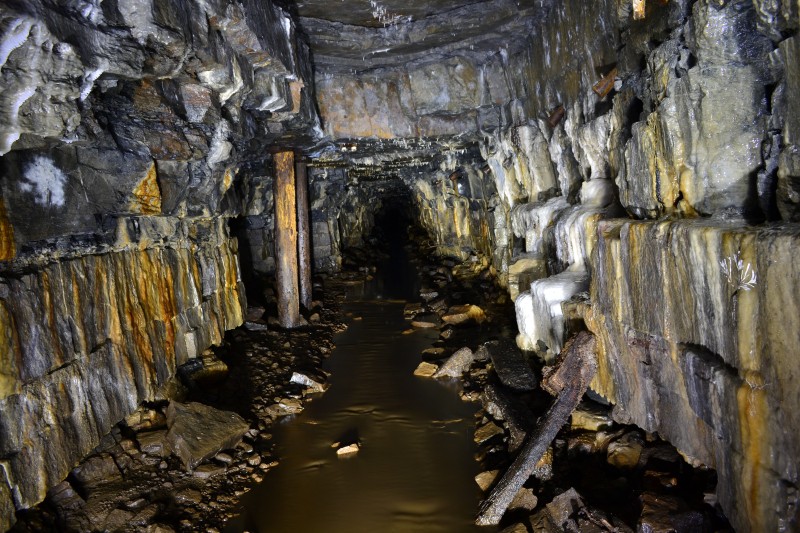 DSC_0899.JPG - Pillars and calcite flows, Blackburn Level. Photo by Karli.