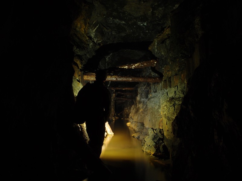 P5253110.JPG - Stemples on Blackburn Level.