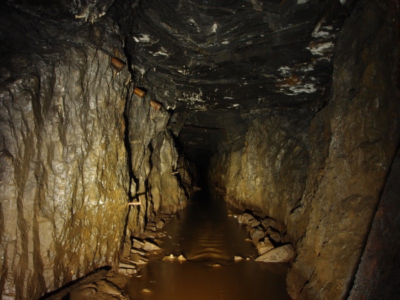 P5253119.JPG - Blackburn Level past Victoria Vein.