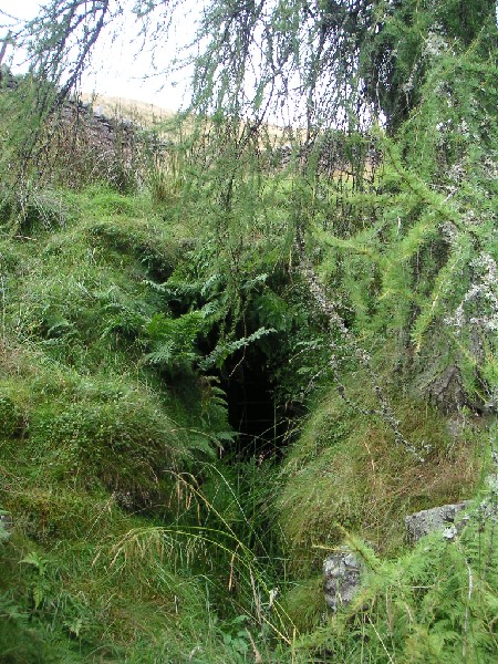 sbfirestone_adit1.jpg - Scaleburn Firestone Level adit.