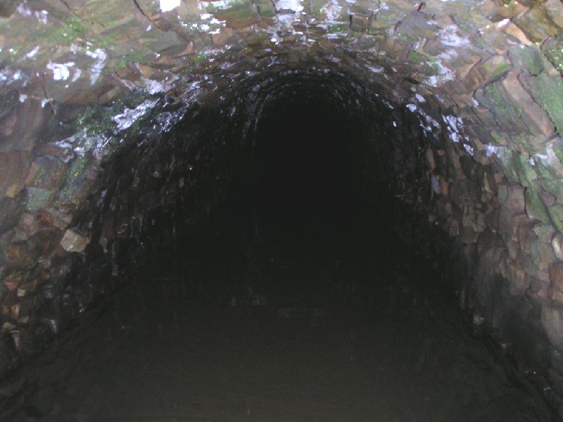 sbfirestone_adit2.jpg - Looking inside the Scaleburn Firestone Level adit.