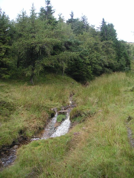 sbfirestone_gillgillburn1.jpg - A small waterfall on Gillgill Burn.