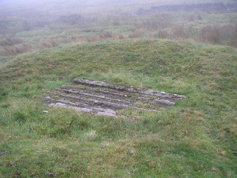 sbfirestone_shafts4.jpg - The only open shaft for the Scaleburn Firestone Level.