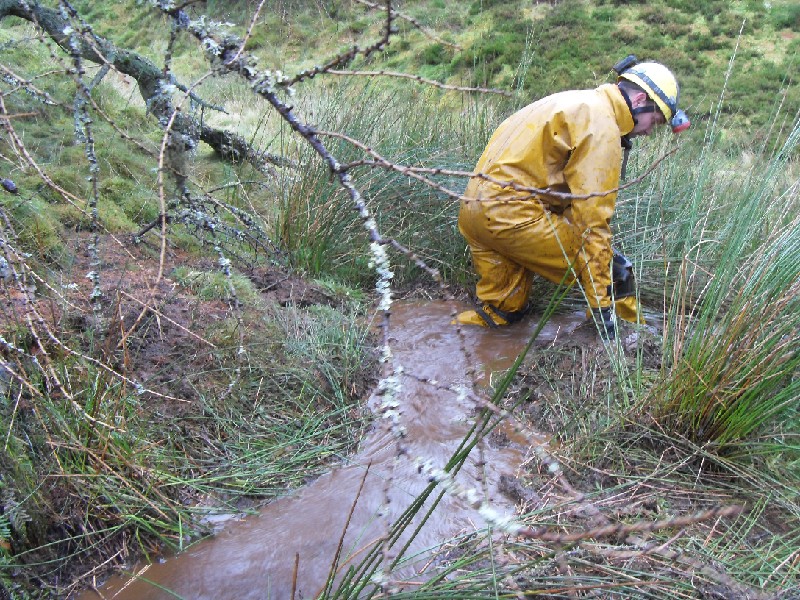 00_sbfl_aditclearing1.jpg - More clearing...