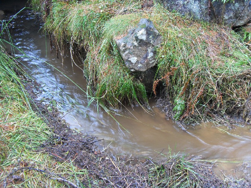 01_sbfl_aditclearing2.jpg - The cleared out channel for the adit.