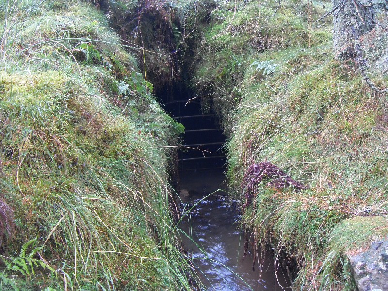 02_sbfl_aditclearing3.jpg - Looking into the adit with increased water flow.